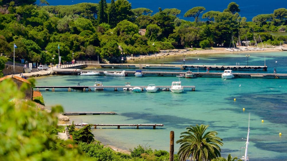 Croisière Prestige de Cannes à Saint-Tropez
