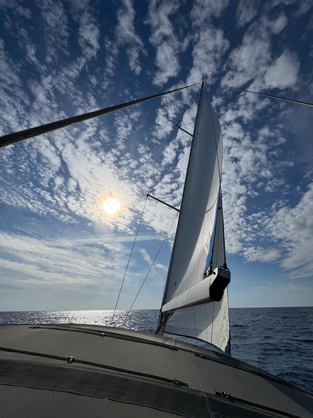 Experiência náutica e gastronômica em Palma de Maiorca (8 horas)