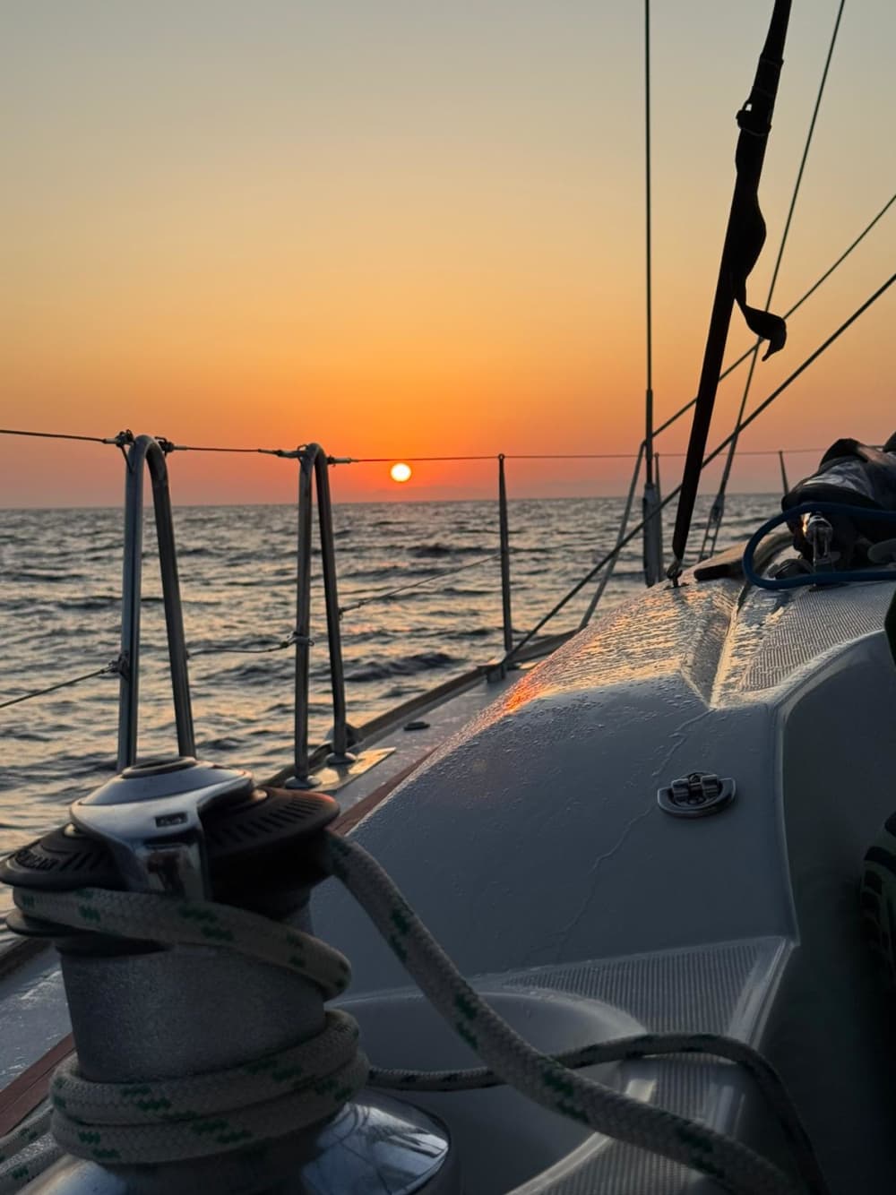 Experiência náutica e gastronômica em Palma de Maiorca (8 horas)