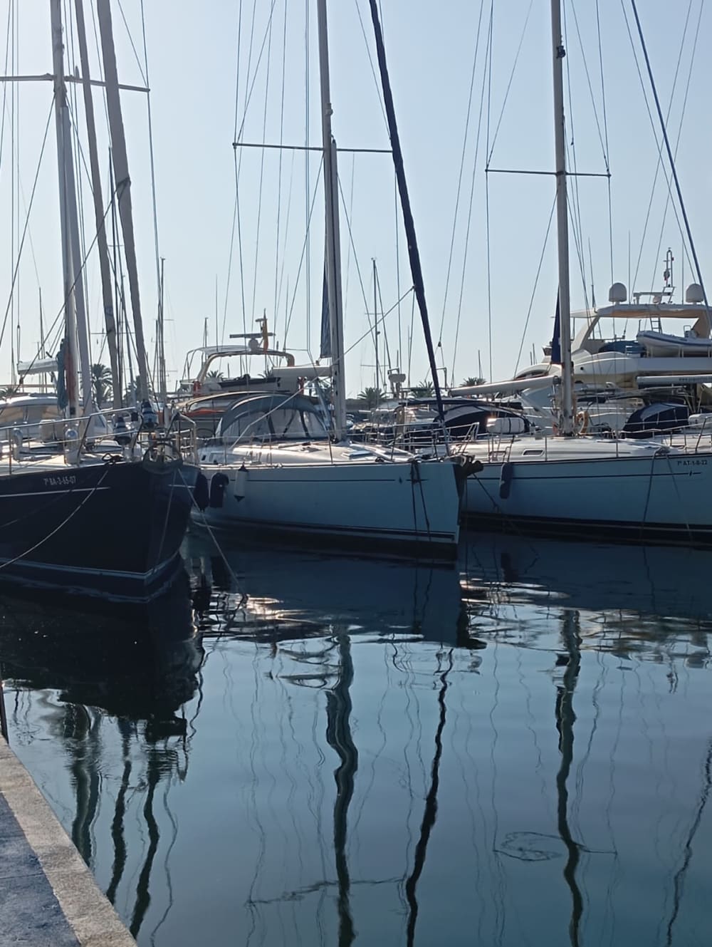 Experiência náutica e gastronômica em Palma de Maiorca (8 horas)