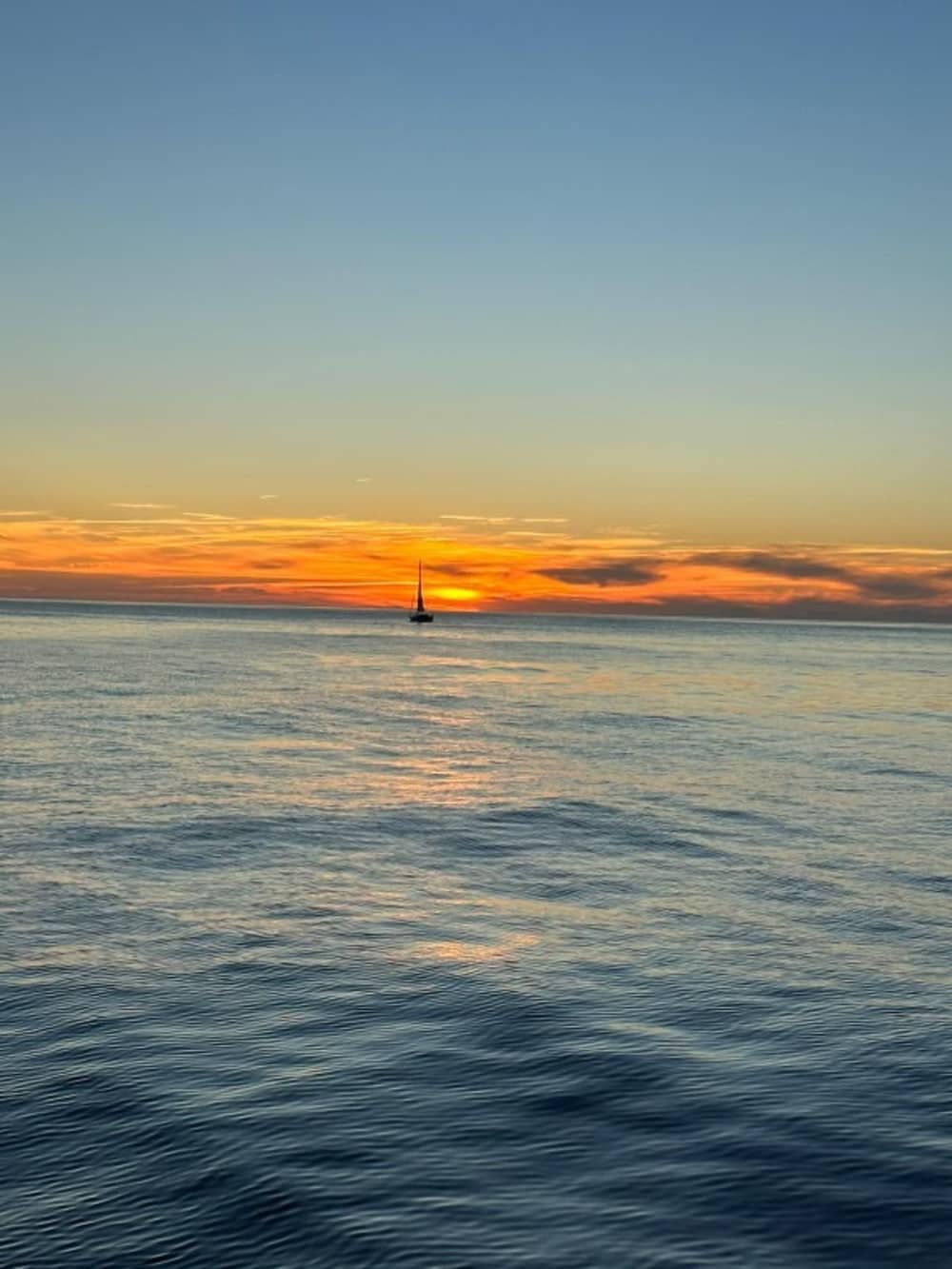 Experiência náutica e gastronômica em Palma de Maiorca (8 horas)