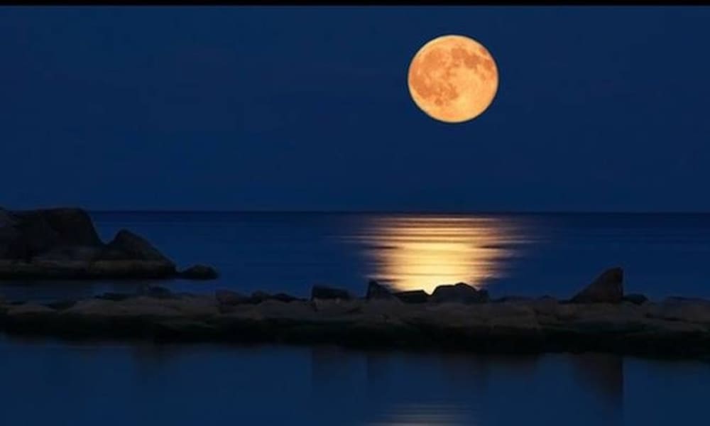 Crociera di un giorno a Cefalonia Itaca o Zante