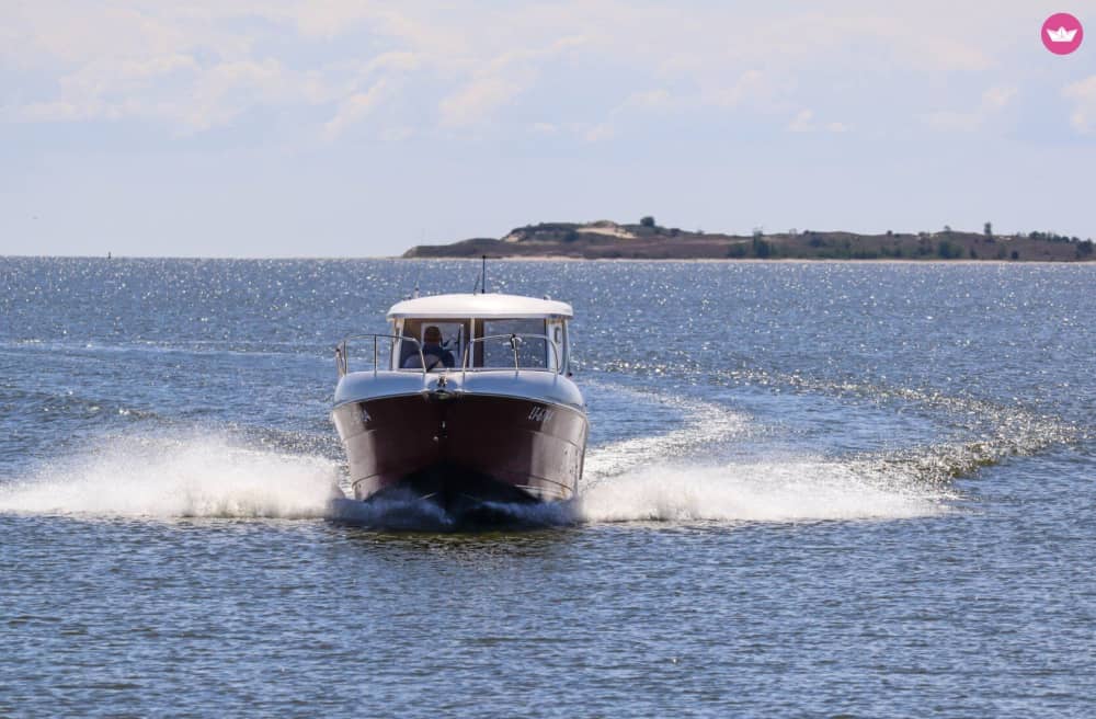VOGELSPOTEN IN DE NEMUNAS-DELTA