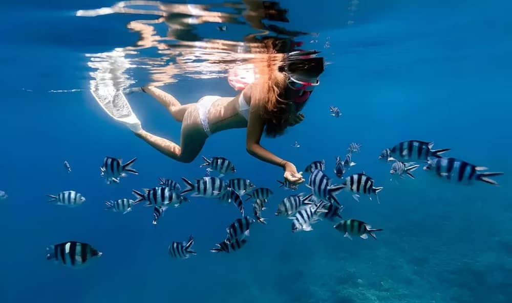 Περιήγηση στα αξιοθέατα και την αναψυχή των Κοραλλιών Νήσων (Ολοήμερη)