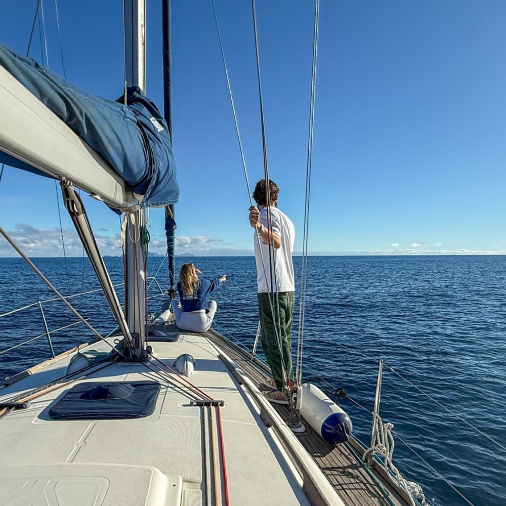 Aventura de navegación de día completo a las islas desiertas de Madeira