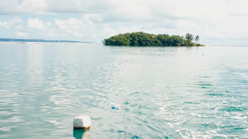 Discover Basse-Terre by boat – Volcanic coast & seabed