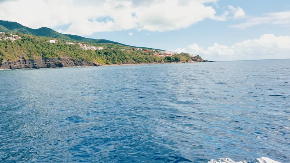 Discover Basse-Terre by boat – Volcanic coast & seabed