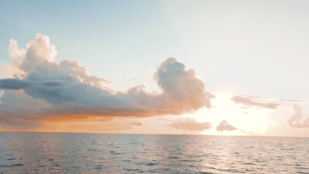 Discover Basse-Terre by boat – Volcanic coast & seabed