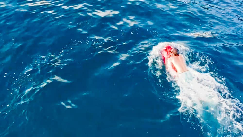 Discover Basse-Terre by boat – Volcanic coast & seabed