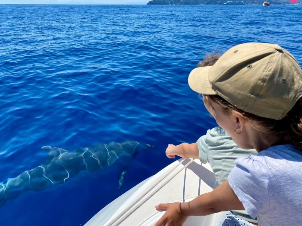 De dichtersroute per boot: Portovenere, Palmaria-eiland en snorkelen in het blauwe water.
