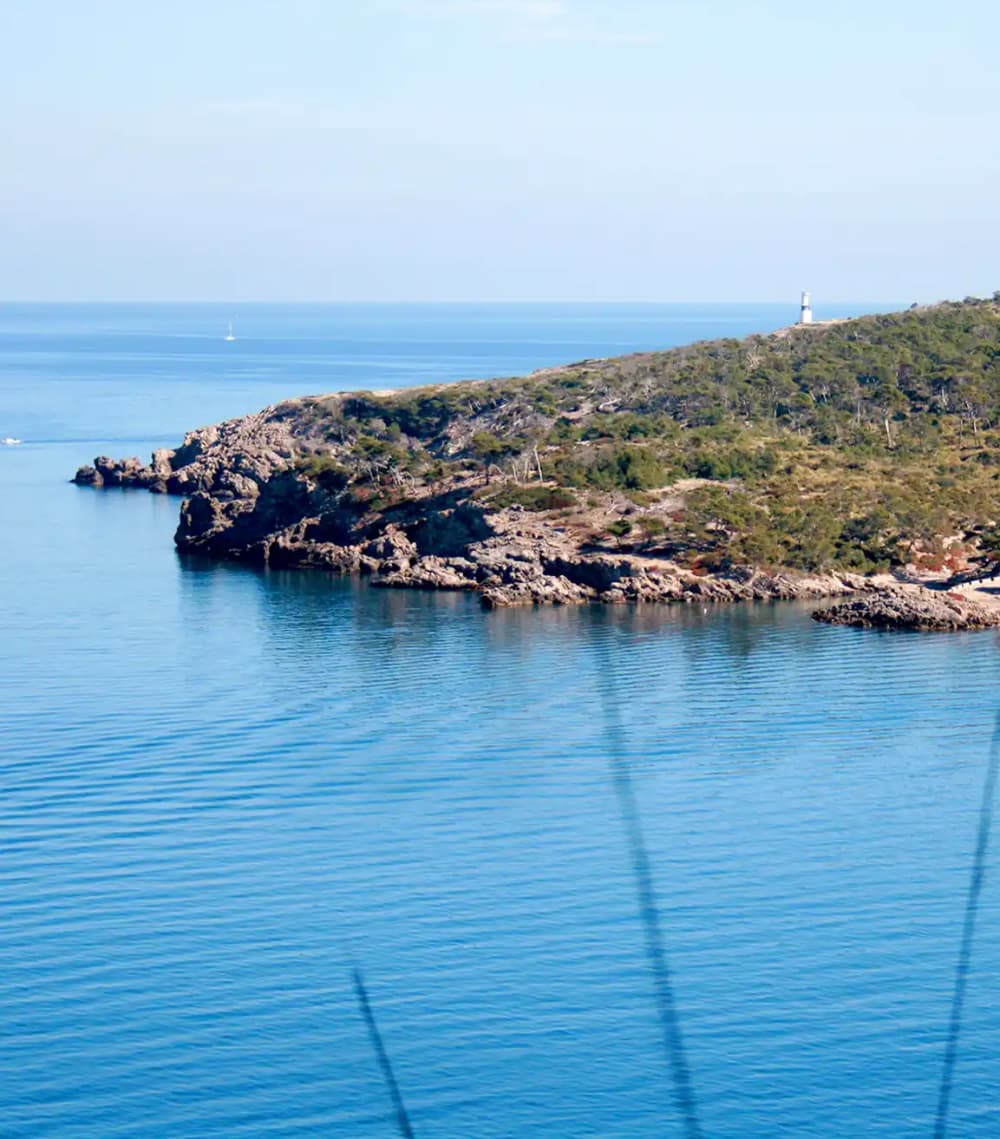 Alcudia Bay and Levante Natural Park Tour