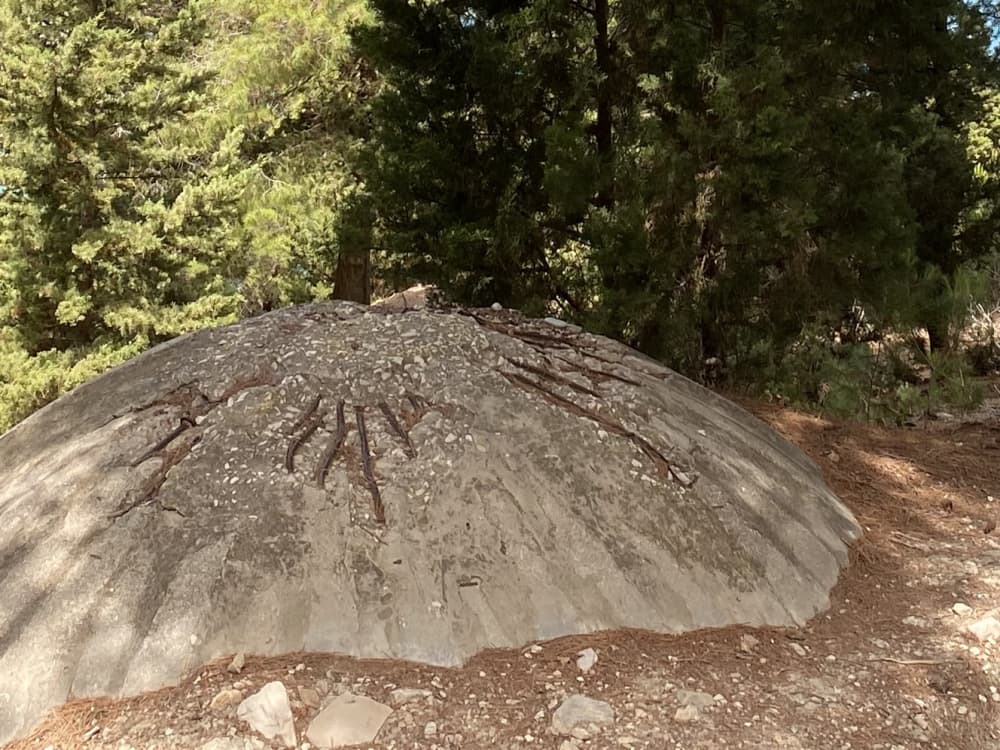 Escursione in barca di mezza giornata all'isola di Sazan, alla grotta di Haxhi Ali e a Karaburun