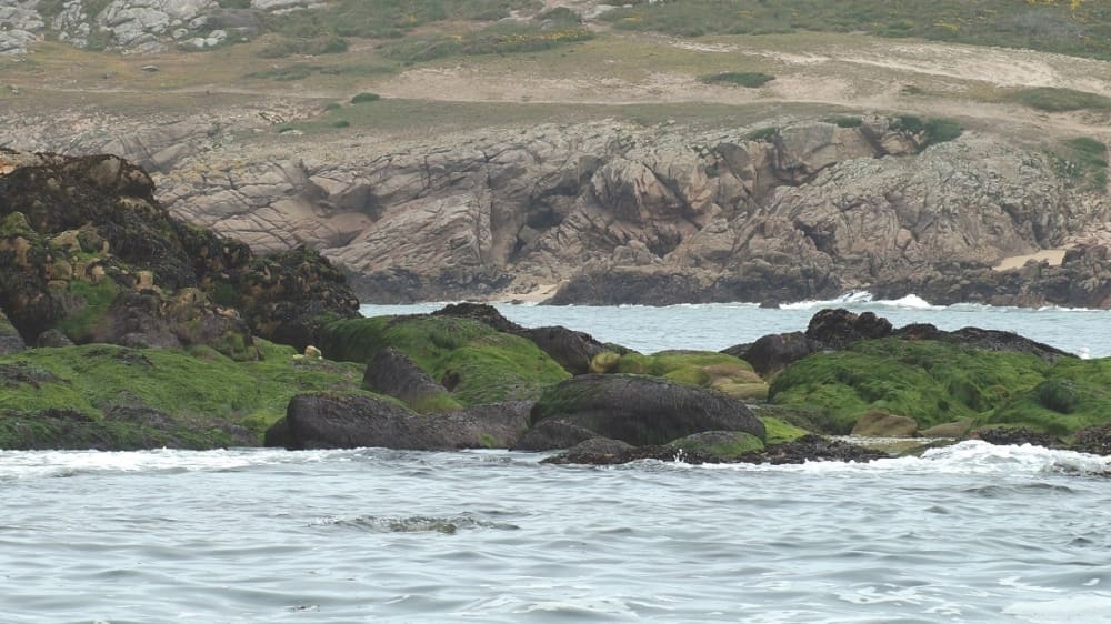 Le pur plaisir de la navigation : Vivez la magie d'Arradon