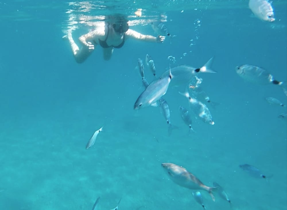 Prywatna wycieczka o zachodzie słońca z pływaniem