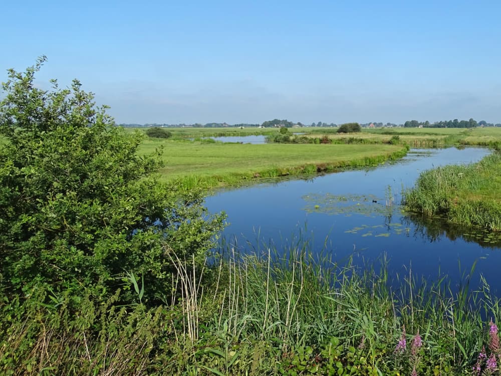 Privécruise van 3 uur – Sneek, meren en verborgen waterwegen