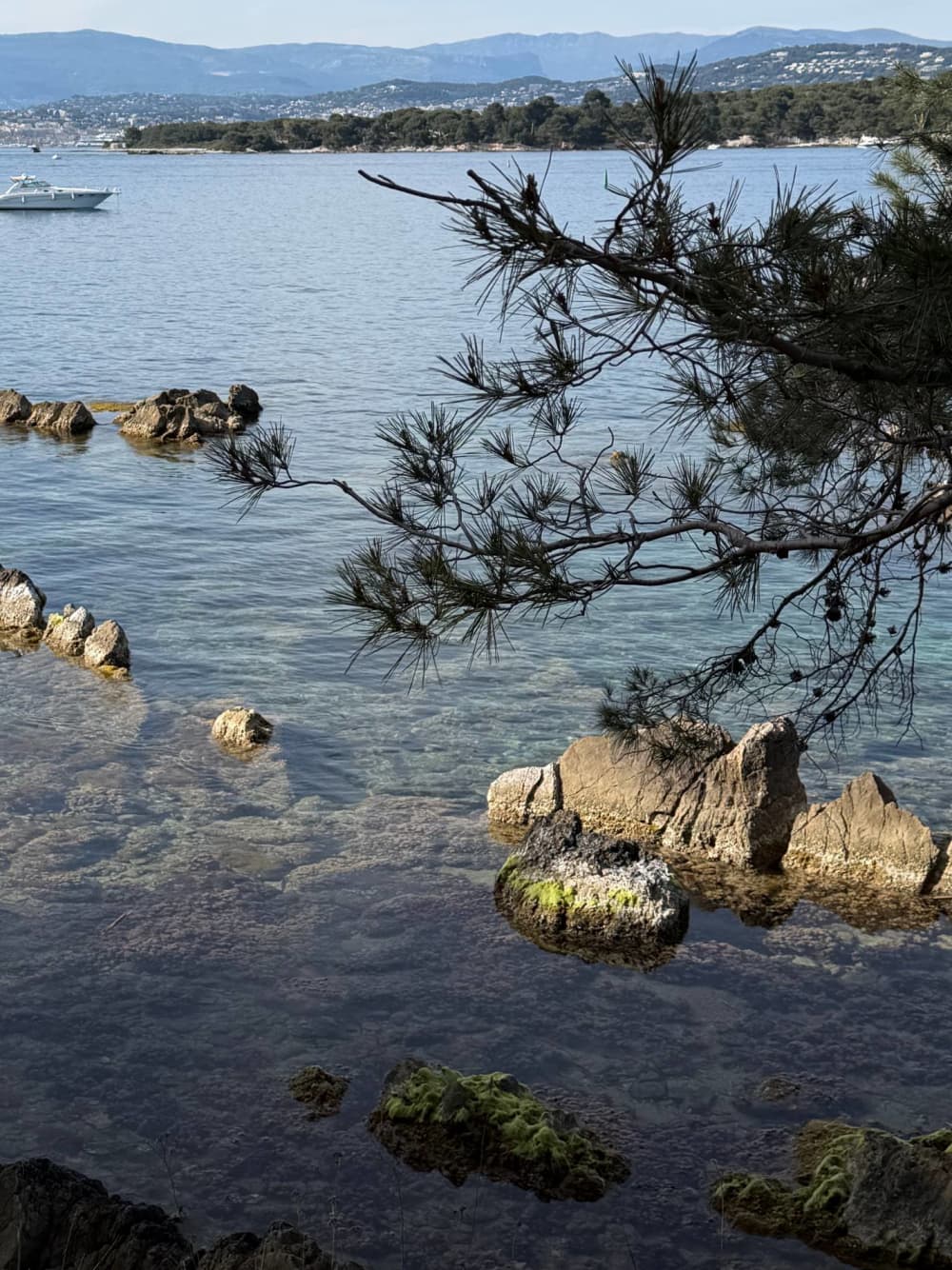 Avondjachtervaring op de Lérins-eilanden