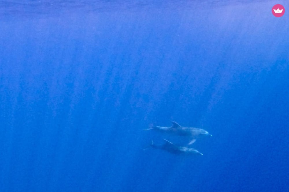 De essentie van Gallura per boot