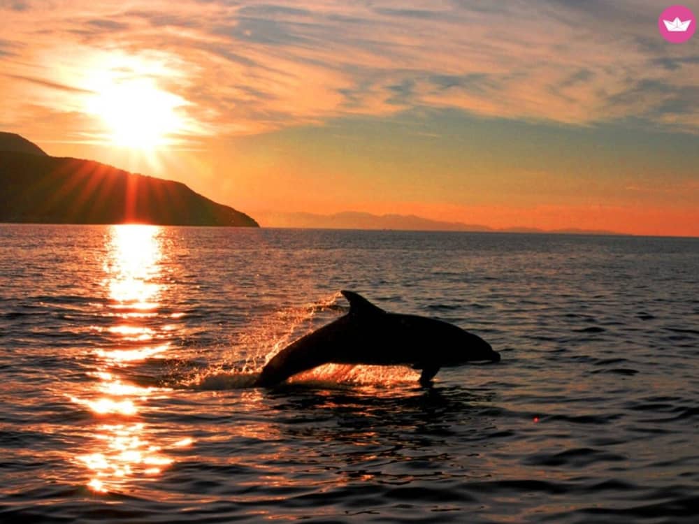 De essentie van Gallura per boot