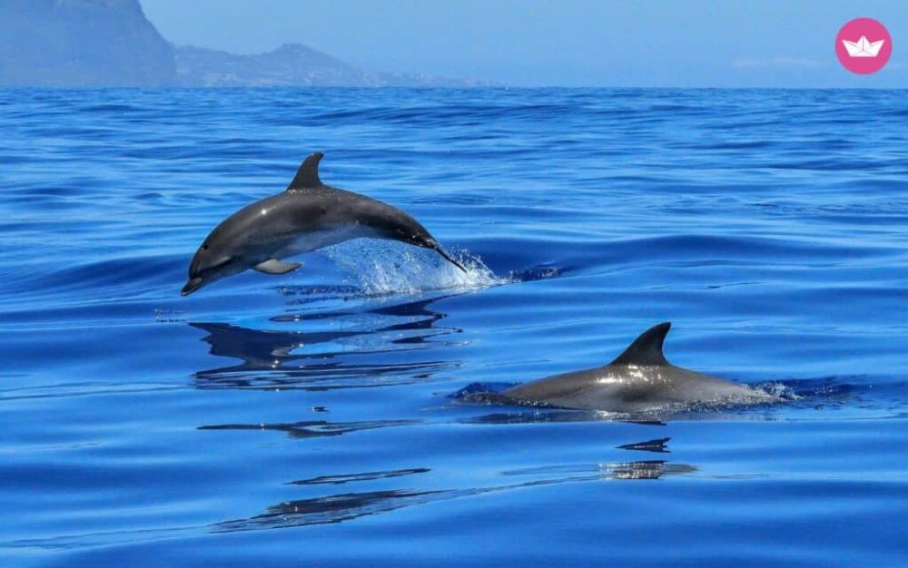De essentie van Gallura per boot