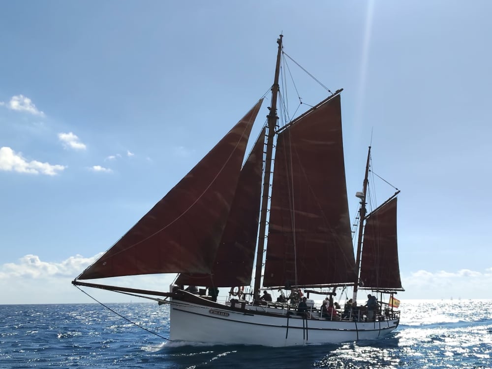 4 heures de navigation traditionnelle à bord d'une goélette historique