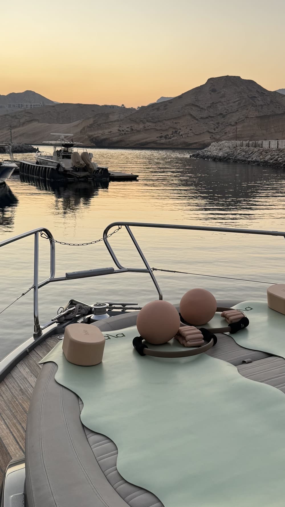 Expérience de yacht de luxe à Bandar Al Khairan : observation des dauphins et des tortues, et plongée en apnée (jusqu'à 6 personnes)