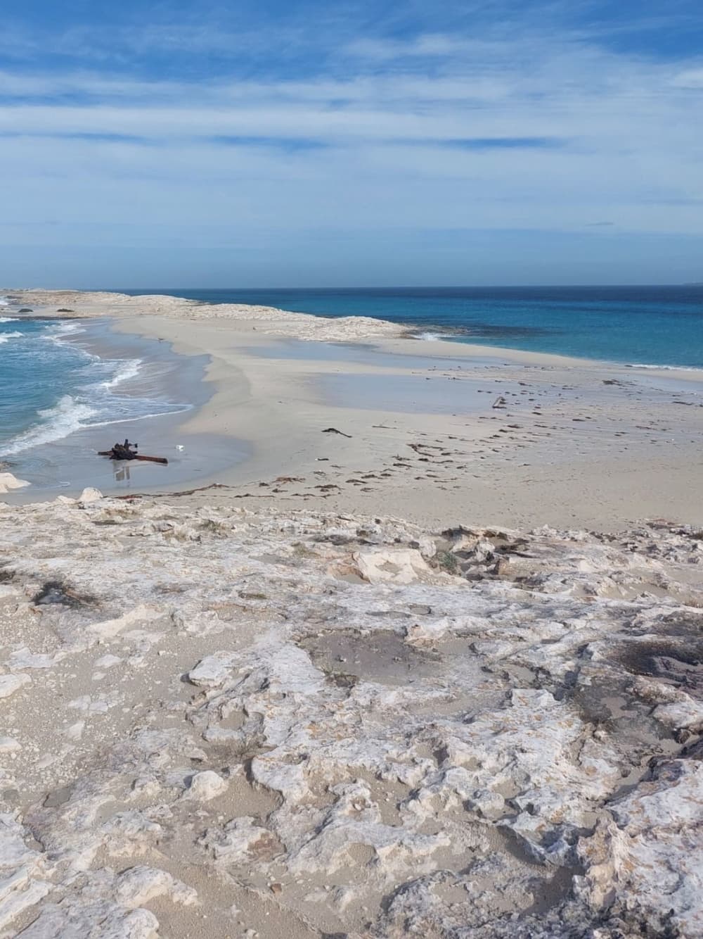 Halvdags privat Formentera RIB-tur (4 timmar)