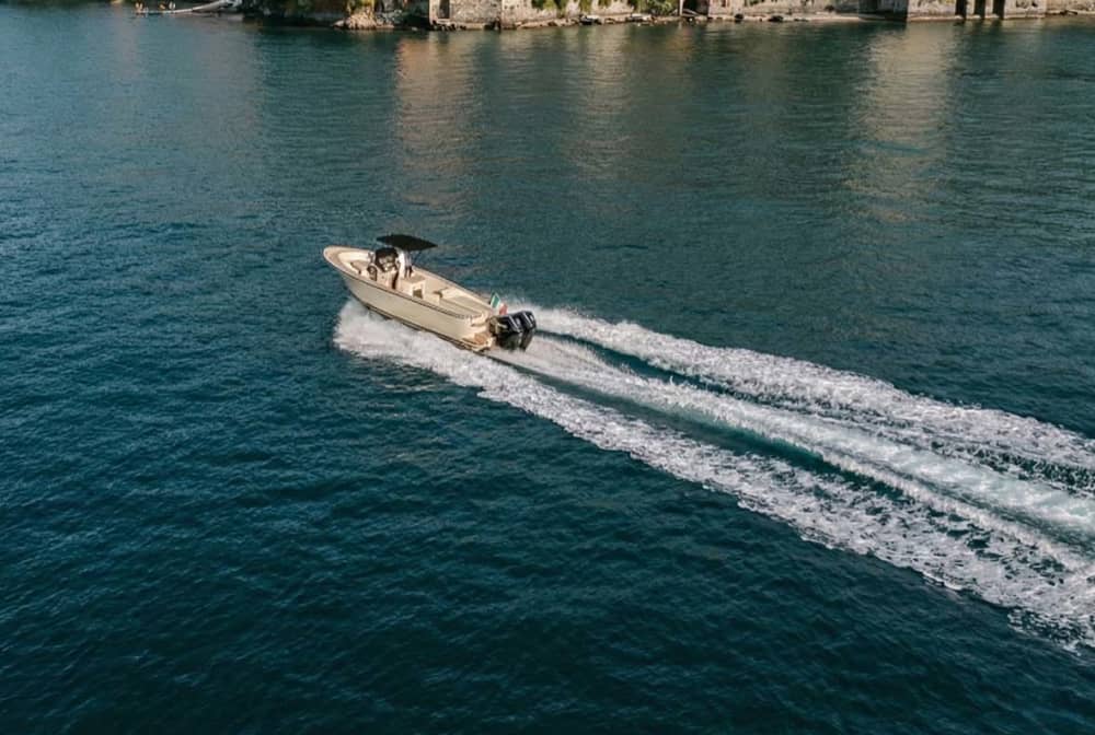Discover Lake Como, Comacina Island & Villas