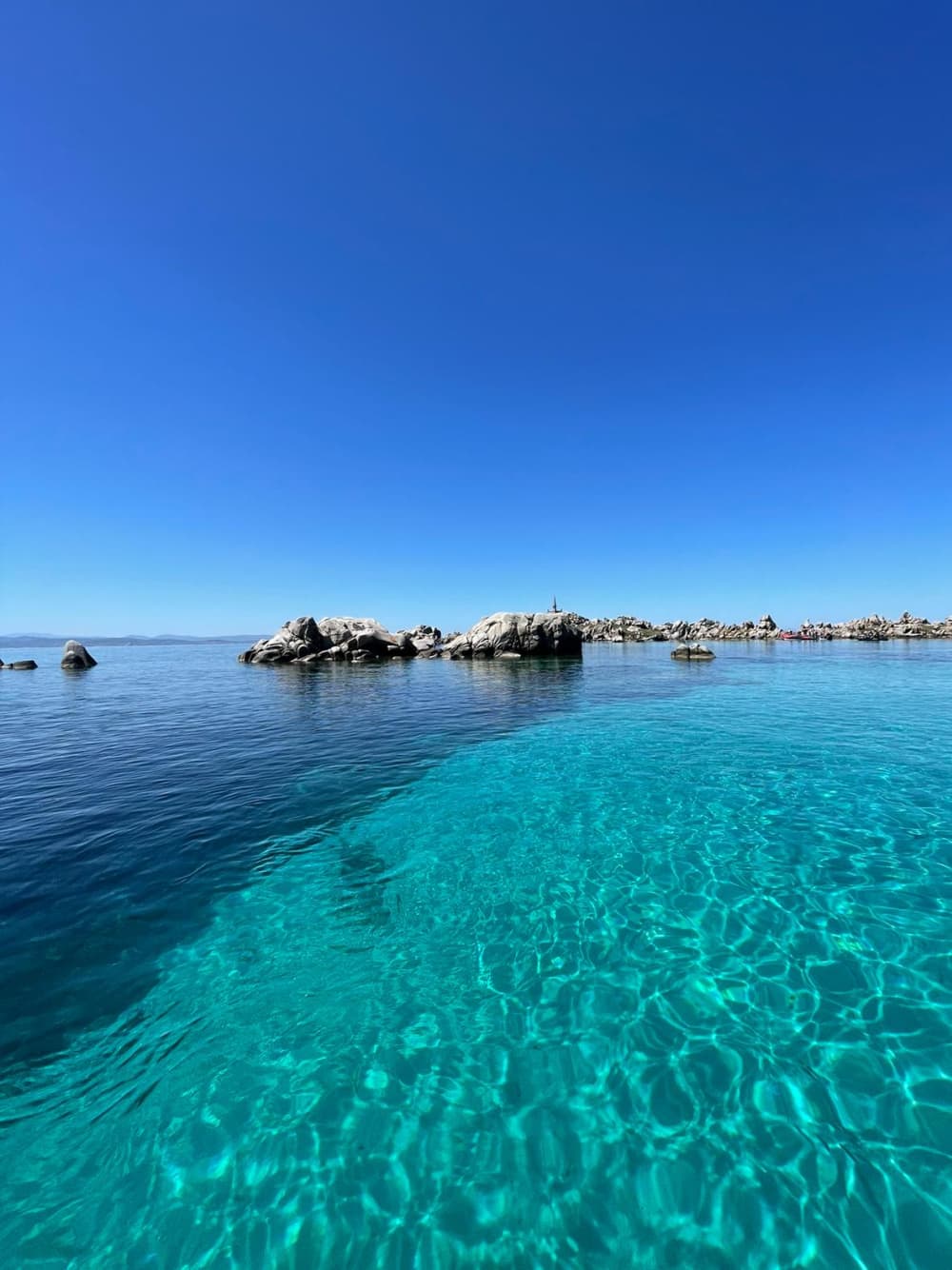 Una Giornata a Lavezzi e isola Piana