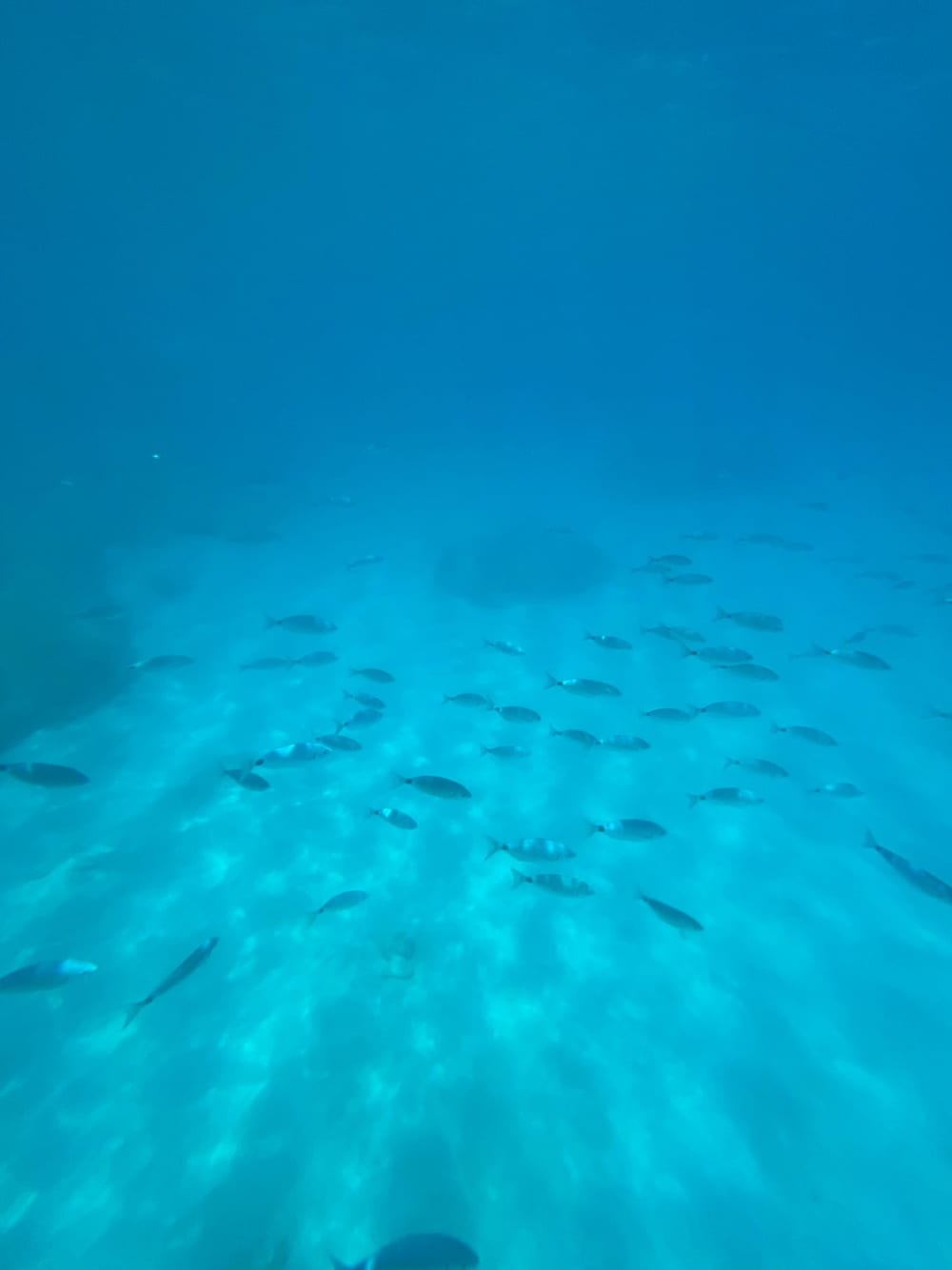 Plus de baies en moins de temps - L'expérience Wider 42 élégante