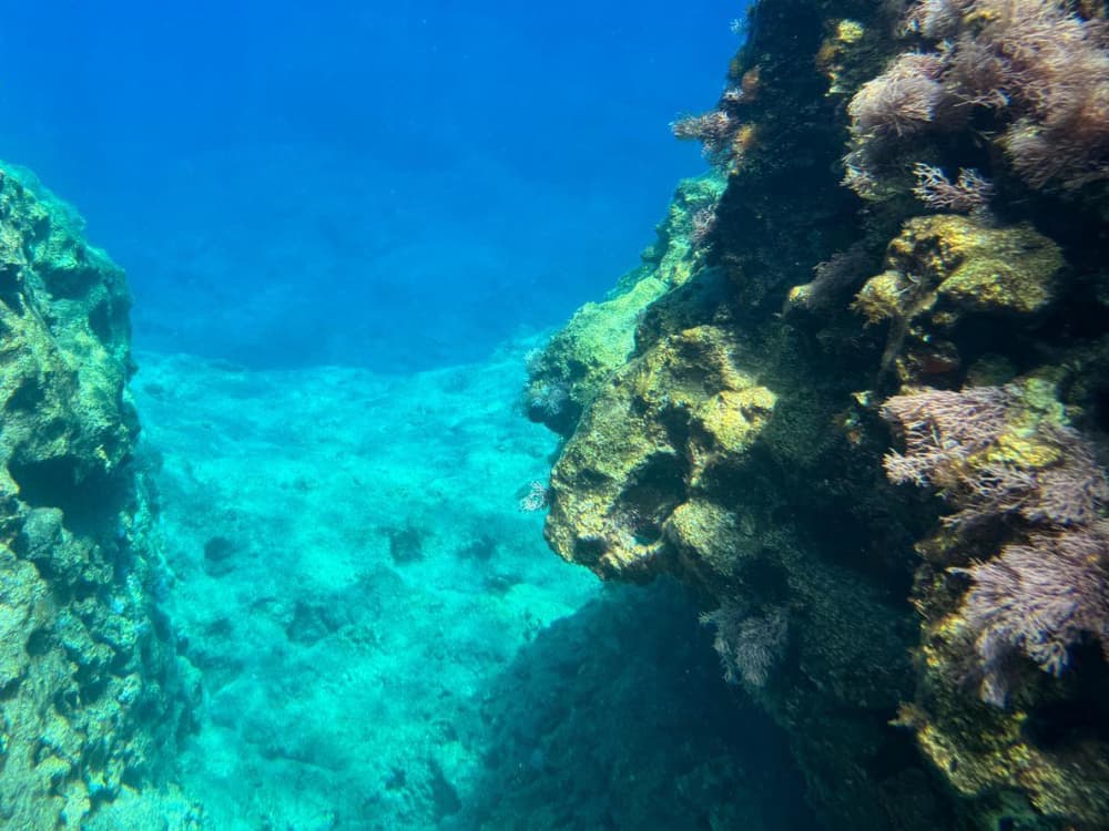 Plus de baies en moins de temps - L'expérience Wider 42 élégante