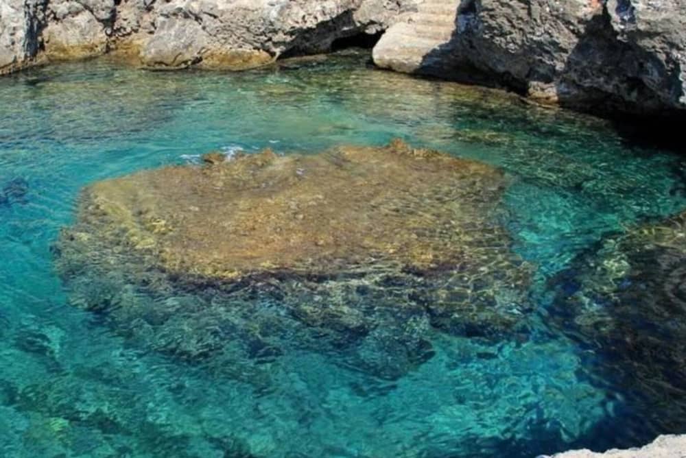 Plus de baies en moins de temps - L'expérience Wider 42 élégante