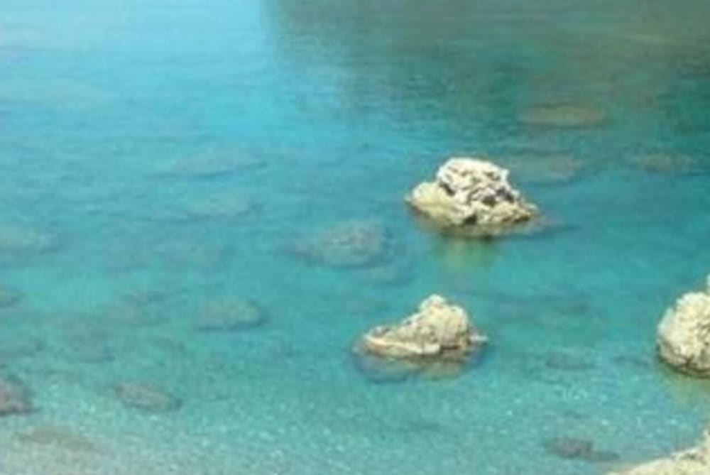 Plus de baies en moins de temps - L'expérience Wider 42 élégante