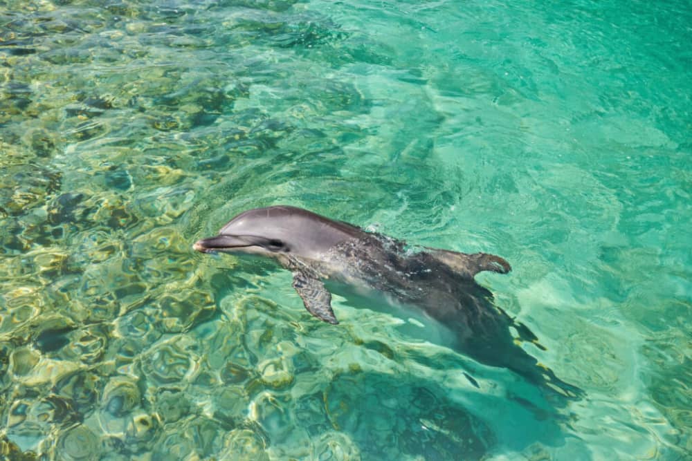 Be amazed by the Zingaro Reserve