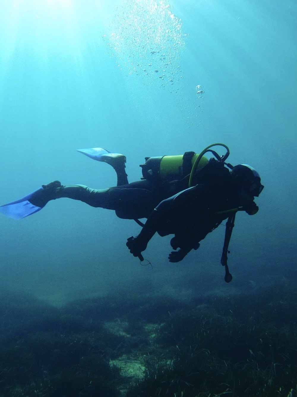 Aluguel de iate de luxo de meio dia em Hakuna Matata
