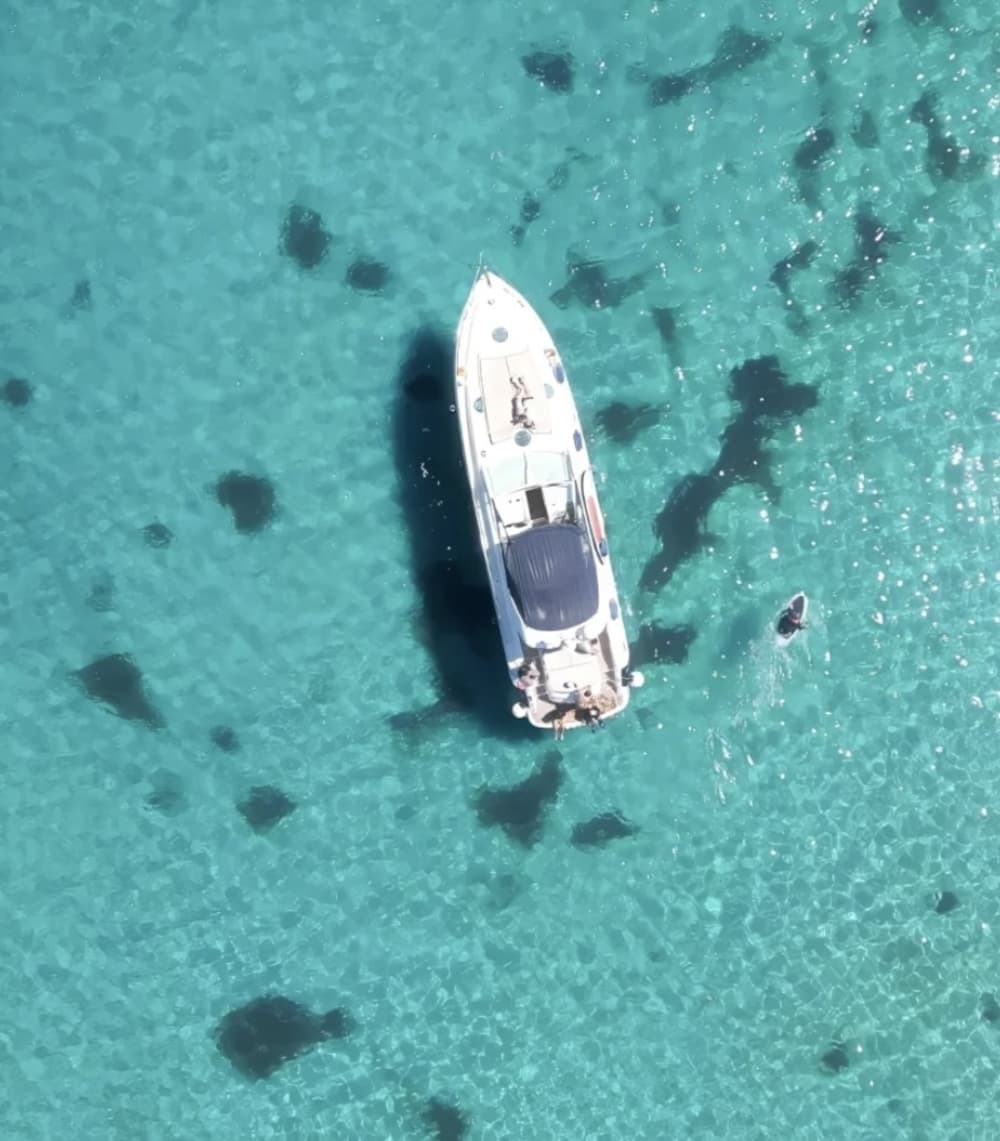 Hakuna Matata Lyxig Heldags Yachtcharter i Cala d'Or