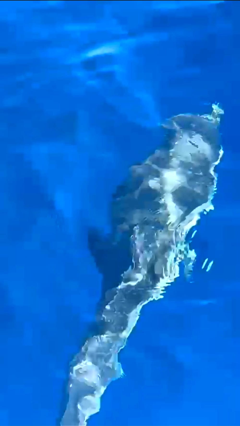 South Coast Excursion with a Stop in Marzamemi