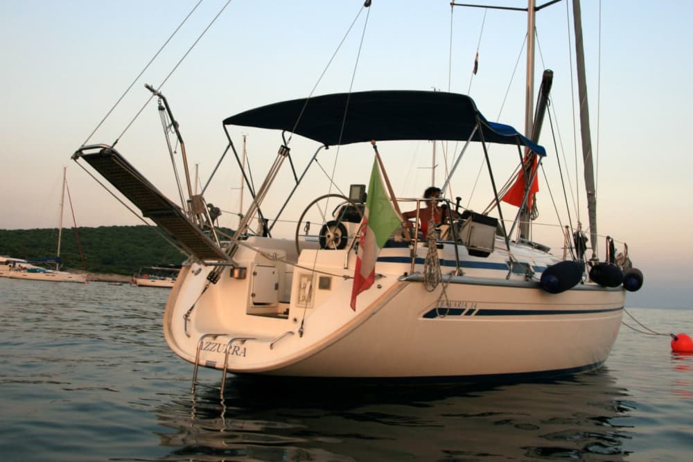 Halbtägige Delfinbeobachtungstour