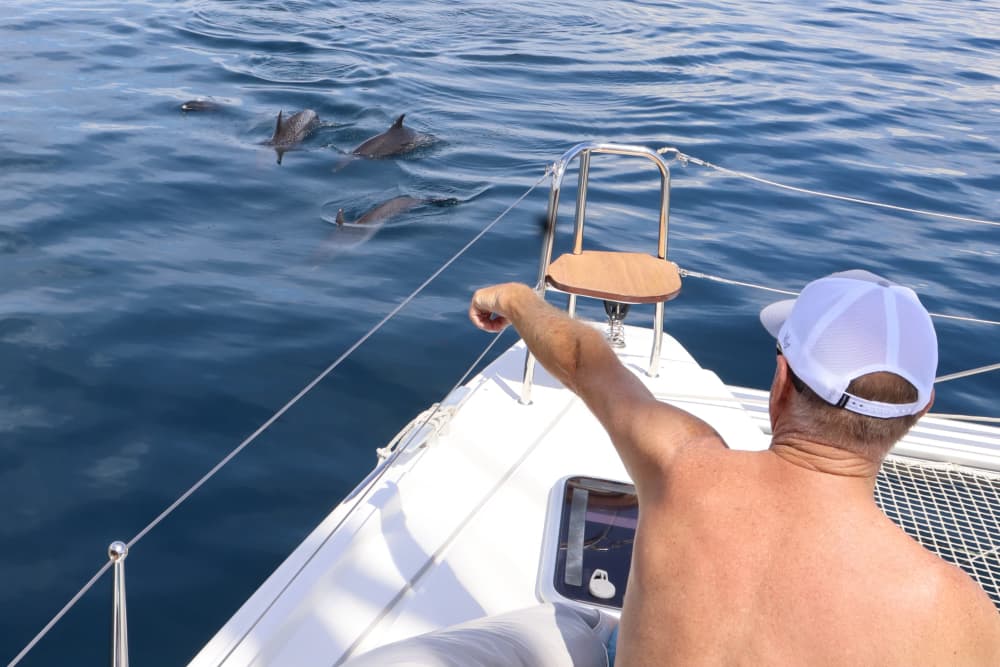 Catamaran Standard Trip in Gulf of Papagayo