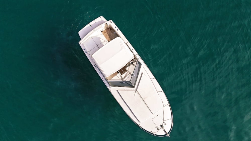 Half-Day Coastal Tour of Naples or Procida