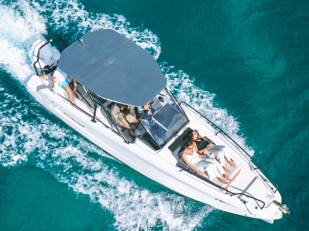 Dolphin Watching Experience