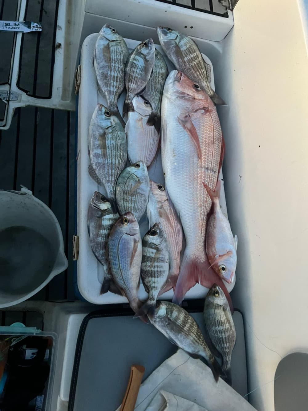 Private Fishing Tour in Saranda – Professional Speedboat Experience