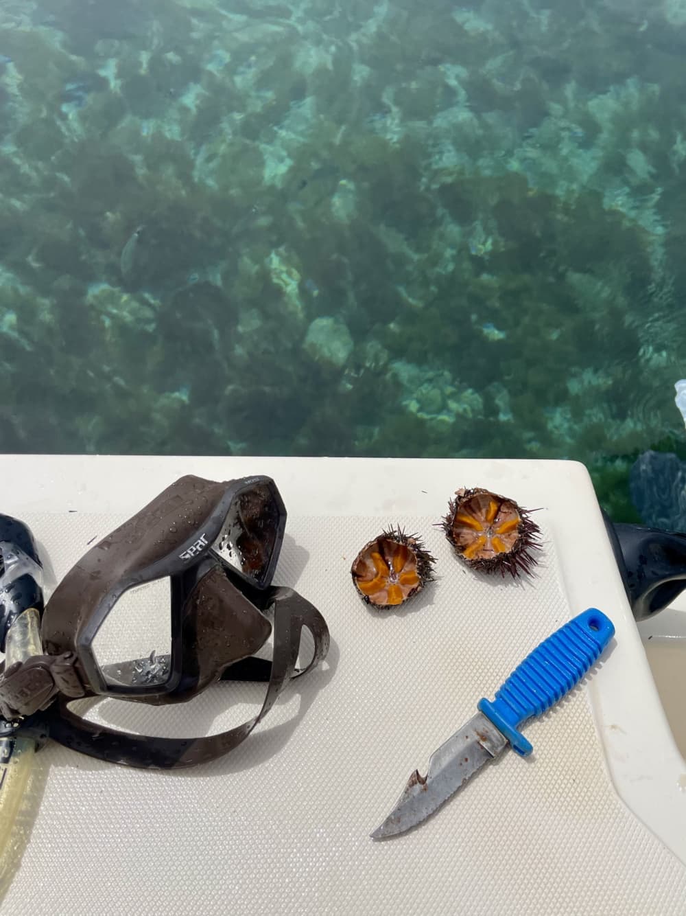 Exclusive Boat Tour to Tropea - Capo Vaticano