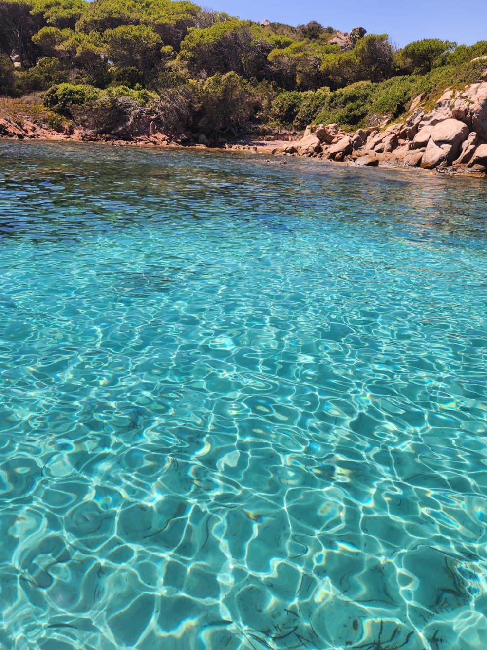 7 Stunden im Maddalena-Archipel von Palau aus
