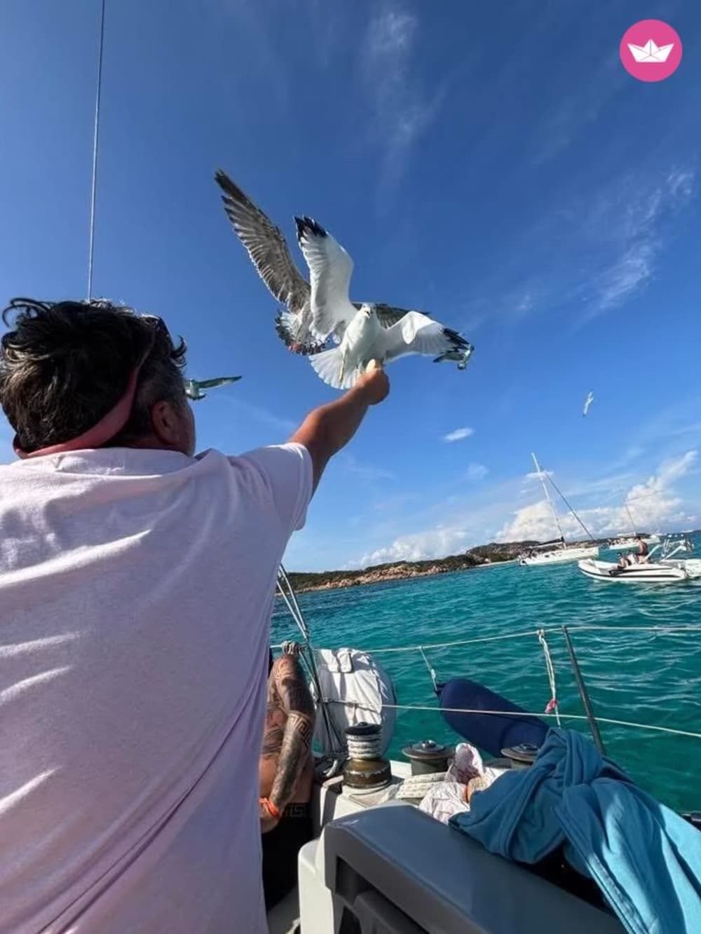 Half-day sailing from Palau