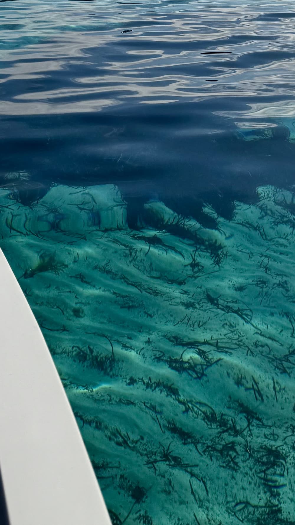 Excursion de 6 heures, par Antonio D28, Zone Nord.