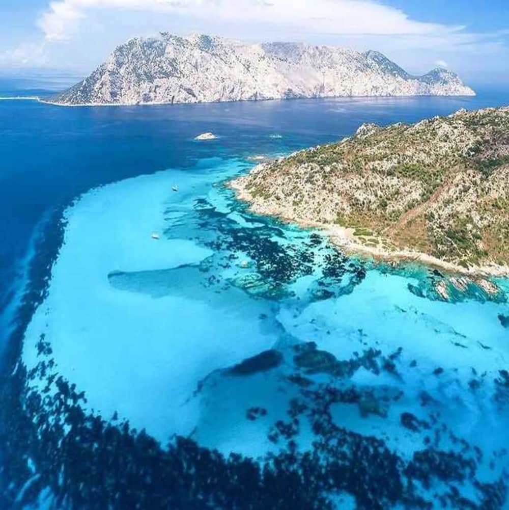 TAVOLARA ISLAND AND DOLPHIN EXCURSION