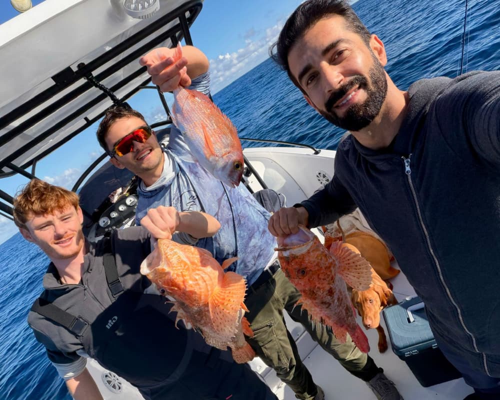 Pesca en el puerto
