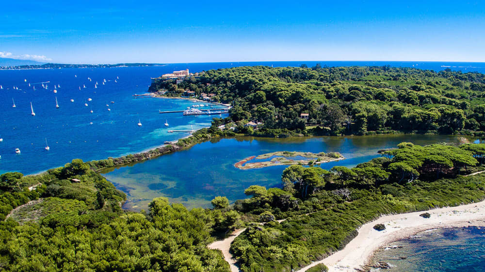 Crociera alle isole di Lérins o Esterel con skipper e carburante inclusi - Cannes