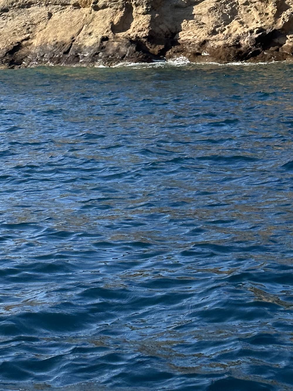 Dinghy Tour from Torre del Greco to Procida - Relax, Swim, and Explore the Island