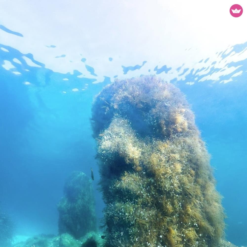 Rejs statkiem ze sternikiem w Cannes (Selva Marine)
